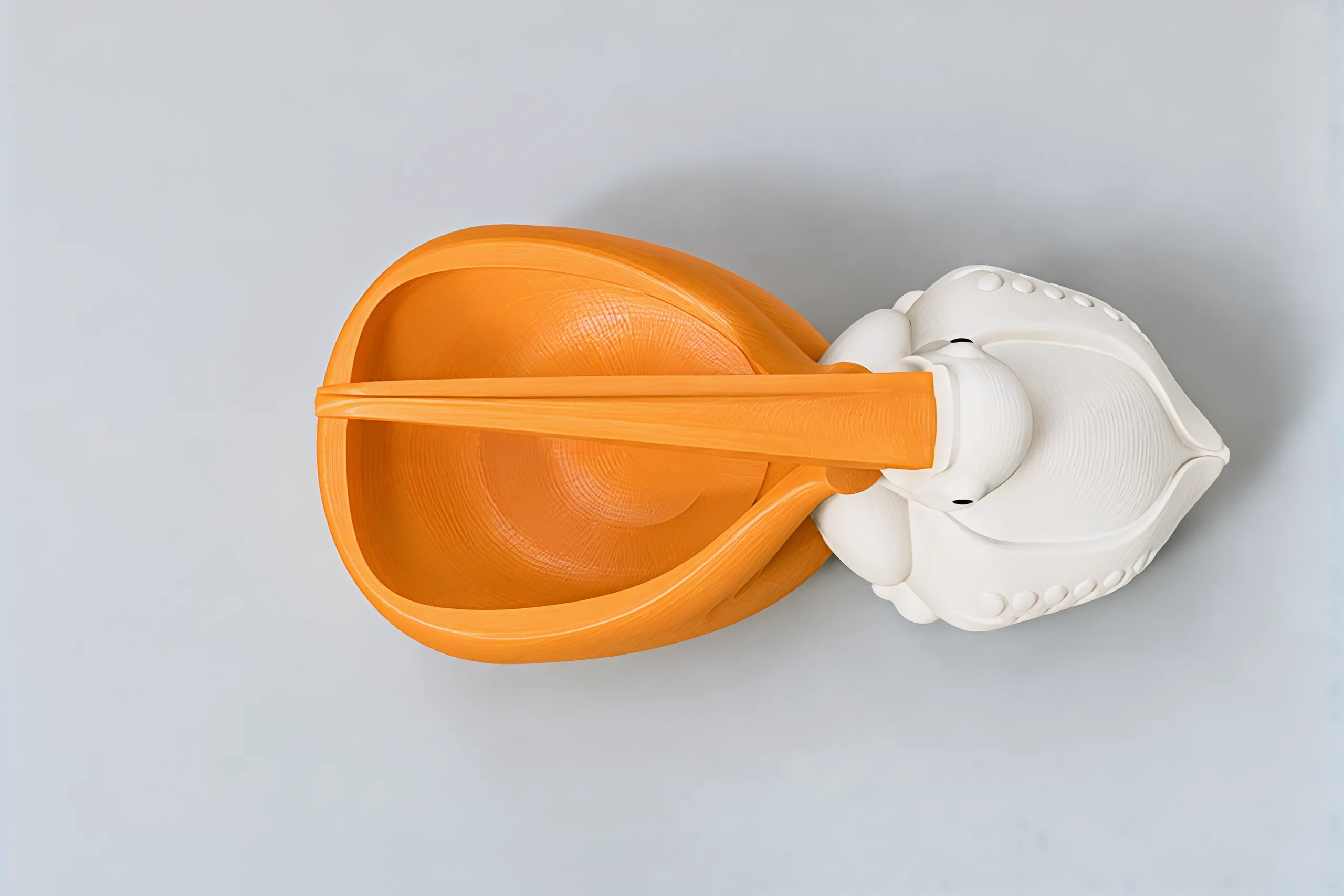 Looking straight down into the orange pouch, the upper beak lying across it and the bird's head and back behind